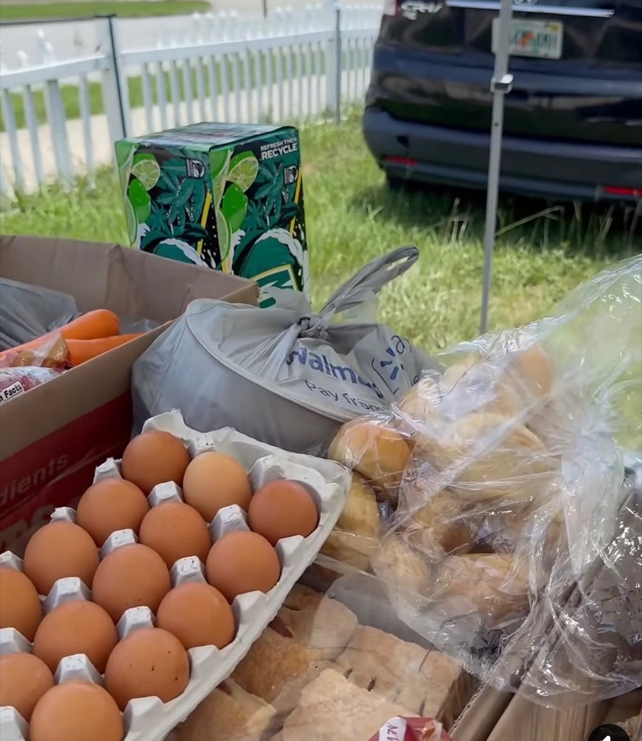 Food Assistance — Asians to the World Inc in Orlando
